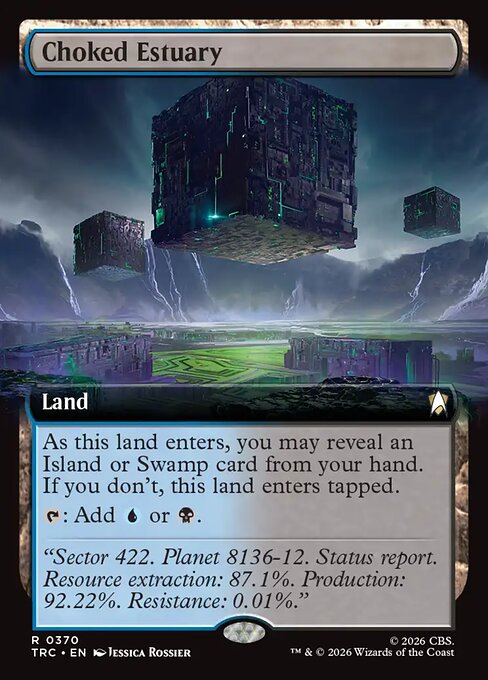 Choked Estuary